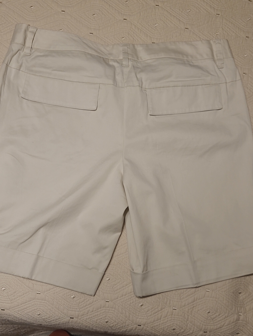 NWT The Limited Sexy Drew Classic Cotton Blend Shorts Size 12 - Picture 4 of 5
